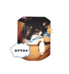 らぶよもまっく①（個別スタンプ：1）