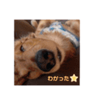 らぶよもまっく①（個別スタンプ：2）