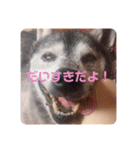 らぶよもまっく①（個別スタンプ：20）