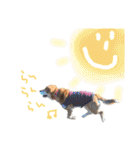 いろんな時に使いたい我が家の犬スタンプ！（個別スタンプ：32）