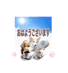りんちゃん＋そら（個別スタンプ：1）