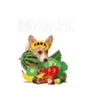 りんちゃん＋そら（個別スタンプ：4）
