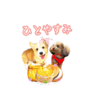 りんちゃん＋そら（個別スタンプ：8）
