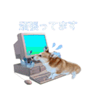 りんちゃん＋そら（個別スタンプ：9）