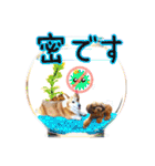 りんちゃん＋そら（個別スタンプ：20）