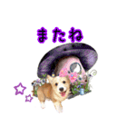りんちゃん＋そら（個別スタンプ：37）