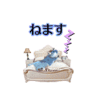 りんちゃん＋そら（個別スタンプ：40）