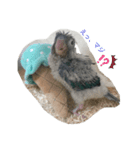 ミントのミーちゃん（個別スタンプ：6）