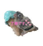 ミントのミーちゃん（個別スタンプ：7）