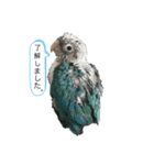 ミントのミーちゃん（個別スタンプ：12）