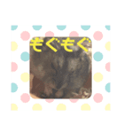 じゃんがりもっちゃんスタンプ（個別スタンプ：2）