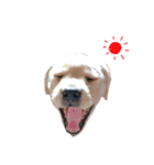 とあのすたんぷ！（個別スタンプ：1）