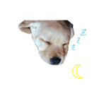 とあのすたんぷ！（個別スタンプ：2）