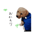 とあのすたんぷ！（個別スタンプ：3）