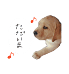 とあのすたんぷ！（個別スタンプ：4）