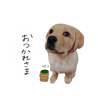 とあのすたんぷ！（個別スタンプ：5）