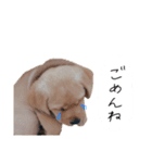 とあのすたんぷ！（個別スタンプ：6）