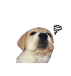 とあのすたんぷ！（個別スタンプ：11）