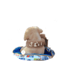 とあのすたんぷ！（個別スタンプ：12）