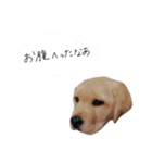 とあのすたんぷ！（個別スタンプ：15）