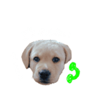 とあのすたんぷ！（個別スタンプ：17）