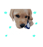 とあのすたんぷ！（個別スタンプ：26）