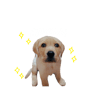 とあのすたんぷ！（個別スタンプ：27）