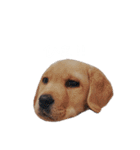 とあのすたんぷ！（個別スタンプ：31）