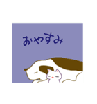 ふてこいネコと犬（個別スタンプ：8）