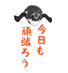 ほほえみフレンズ！BIGなペンギンの日常生活（個別スタンプ：19）