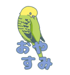 セキセイインコが手伝う日常（個別スタンプ：2）