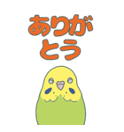 セキセイインコが手伝う日常（個別スタンプ：6）