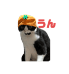 ぎんとたろう（個別スタンプ：1）