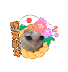 わが家のスコタン(イベント編)（個別スタンプ：3）