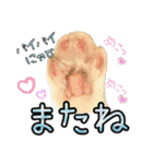 おともにゃちスタンプ⑪（個別スタンプ：9）