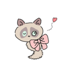 ねこのぽんちゃんスタンプ（個別スタンプ：1）