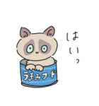 ねこのぽんちゃんスタンプ（個別スタンプ：4）