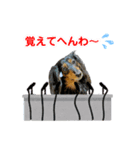 ミニチュアダックスの気ままなランチ⑬（個別スタンプ：3）