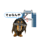 ミニチュアダックスの気ままなランチ⑬（個別スタンプ：4）
