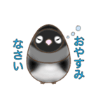 しろくろボタンインコ（個別スタンプ：4）