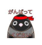 しろくろボタンインコ（個別スタンプ：10）