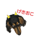 らうだっく（個別スタンプ：2）