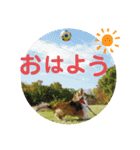 Vanのファンクラブ（個別スタンプ：8）