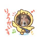 Vanのファンクラブ（個別スタンプ：9）