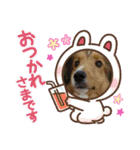 Vanのファンクラブ（個別スタンプ：10）