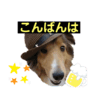 Vanのファンクラブ（個別スタンプ：13）