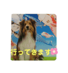Vanのファンクラブ（個別スタンプ：15）