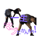 ウチらの伝説（個別スタンプ：13）