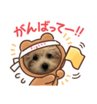 ボクはポメプー（個別スタンプ：3）