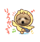 ボクはポメプー（個別スタンプ：4）